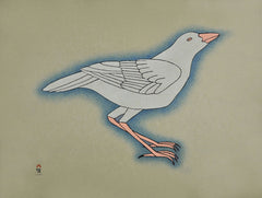 White Raven - Northern Expressions | Qavavau Manumie - Print | | Canadian Indigenous & Inuit Art