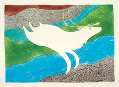 TUKTU QAKUQTAQ (WHITE CARIBOU) - Northern Expressions | Ningeokuluk Teevee - Print | | Canadian Indigenous & Inuit Art