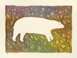 TUNDRA BEAR - Northern Expressions | Papiara Tukiki - Print | | Canadian Indigenous & Inuit Art