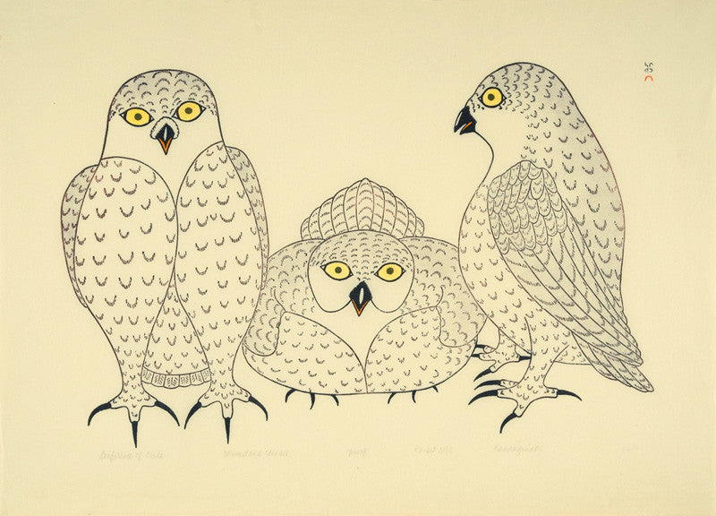 Conference of Owls - Northern Expressions | Kananginak Pootoogook - Print | | Canadian Indigenous & Inuit Art