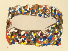 STARTLED HARE - Northern Expressions | Papiara Tukiki - Print | | Canadian Indigenous & Inuit Art