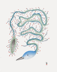 TINGLING BIRD - Northern Expressions | Qavavau Manumie - Print | | Canadian Indigenous & Inuit Art