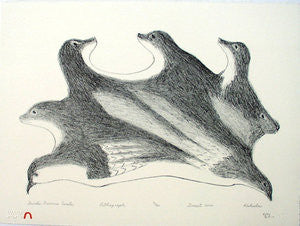 BIRDS BECOME SEALS - Northern Expressions | KAKULU SAGGIAKTOK - Print | | Canadian Indigenous & Inuit Art