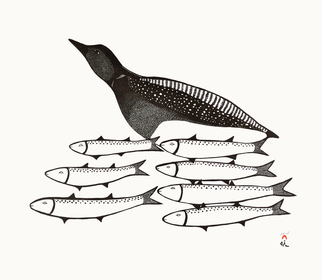 Loon and Char - Northern Expressions | Pitaloosie Saila - Print | | Canadian Indigenous & Inuit Art