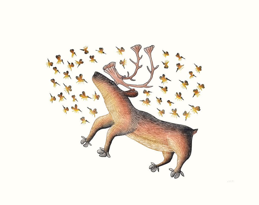 Summer Buzz - Northern Expressions | Cee Pootoogook - Print | | Canadian Indigenous & Inuit Art
