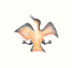 Jubilant Bird - Northern Expressions | Cee Pootoogook - Print | | Canadian Indigenous & Inuit Art