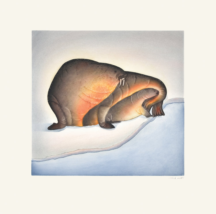 Sheltered Calf - Northern Expressions | PITSEOLAK NIVIAQSI - Print | | Canadian Indigenous & Inuit Art