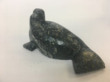 Seal - Northern Expressions | Alec Petaloosie - Carving | | Canadian Indigenous & Inuit Art