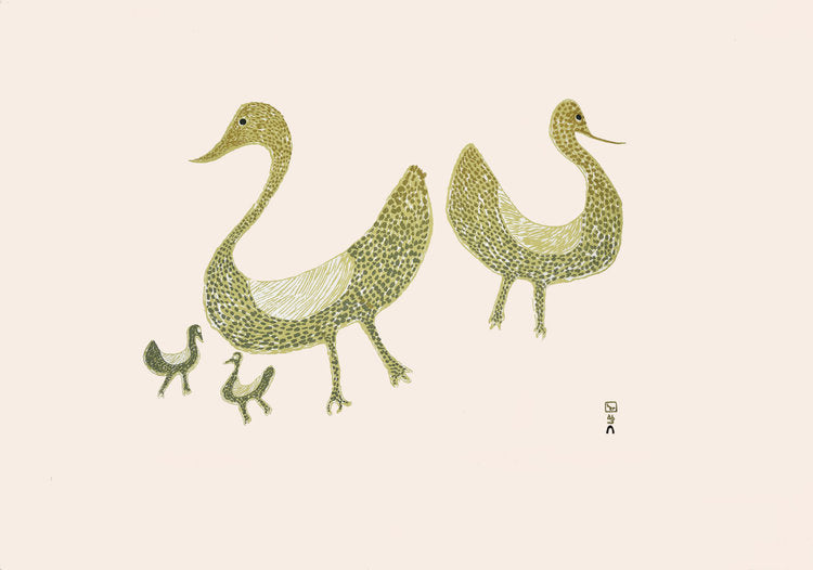Family of Birds, 1965 - Northern Expressions | Sharni Pootoogook - Print | | Canadian Indigenous & Inuit Art